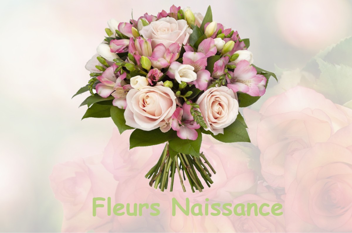 fleurs naissance SAINT-PIERRE-DE-MONS